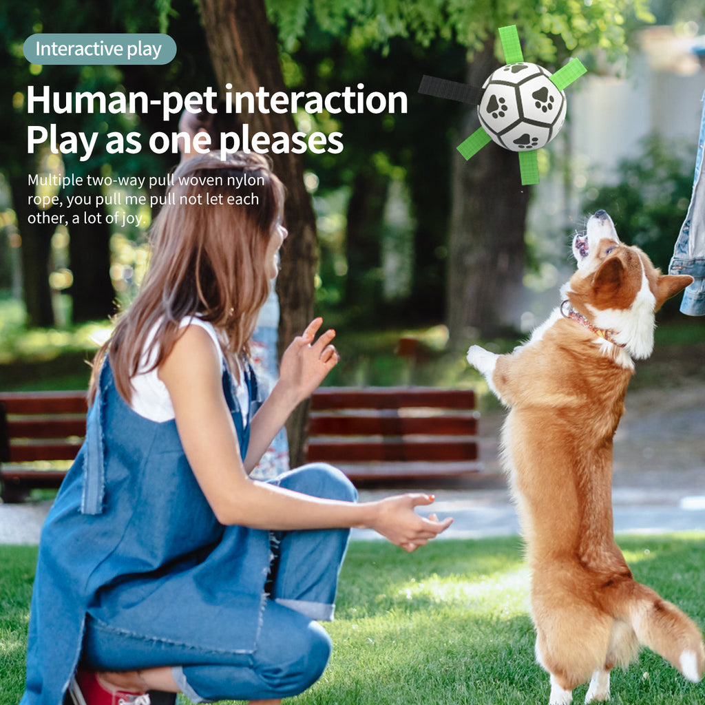 Pelota de fútbol interactiva para perros